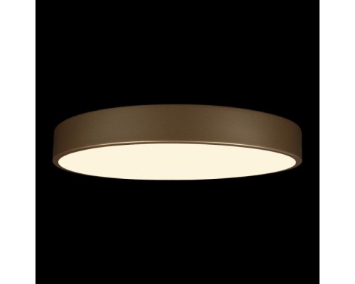 Потолочный светильник Flims 10228/A Loft It