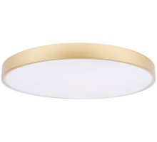 Потолочный светильник Flims 10228/B Loft It