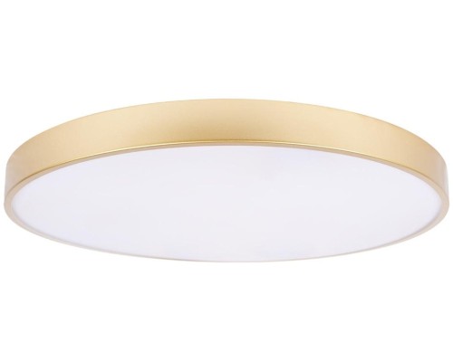 Потолочный светильник Flims 10228/B Loft It