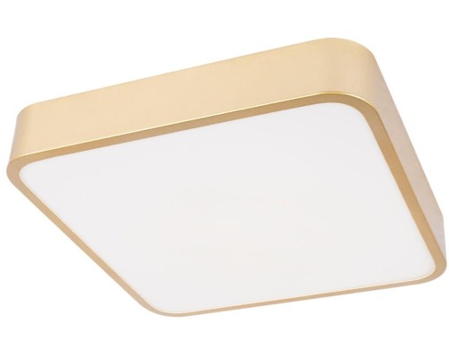 Потолочный светильник Flims 10228/C Loft It