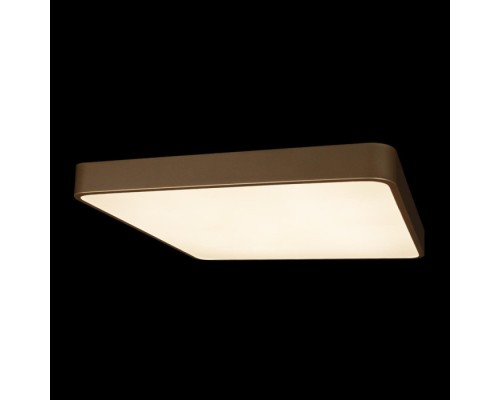 Потолочный светильник Flims 10228/D Loft It