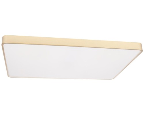 Потолочный светильник Flims 10228/E Loft It