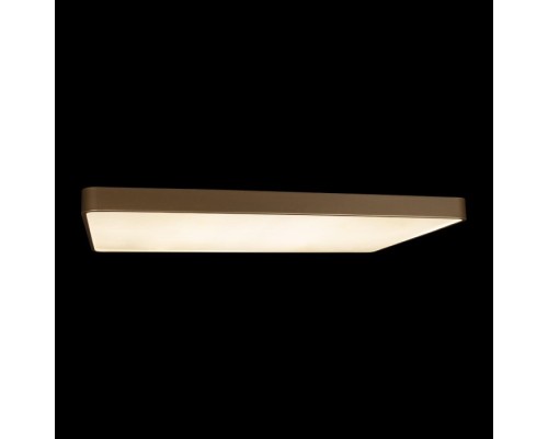 Потолочный светильник Flims 10228/E Loft It