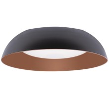 Потолочный светильник Cappello 10229 Black Loft It