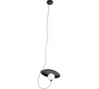 Подвесной светильник Wonders 10237P Black Loft It
