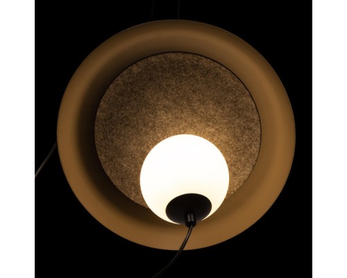 Подвесной светильник Wonders 10237P Black Loft It