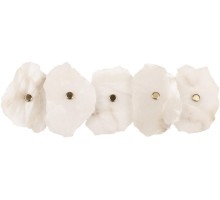 Настенный светильник Alicante 10248/5W Loft It