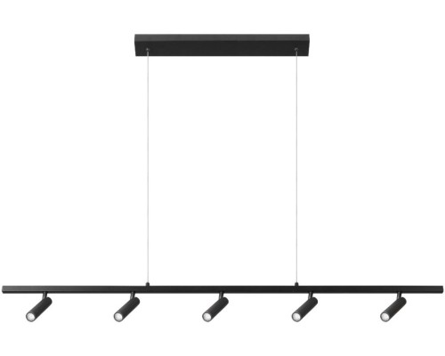Подвесной светильник Sign 10260/5 Black Loft It