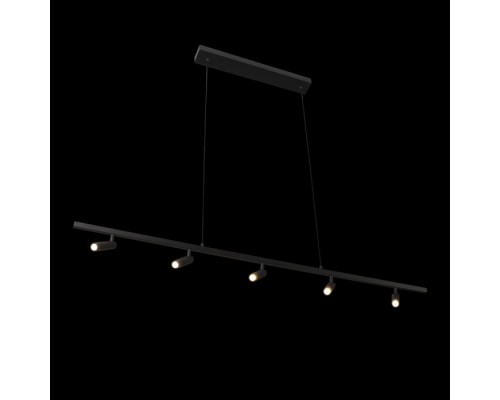 Подвесной светильник Sign 10260/5 Black Loft It
