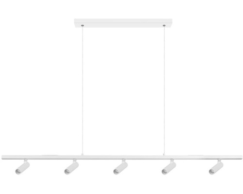 Подвесной светильник Sign 10260/5 White Loft It