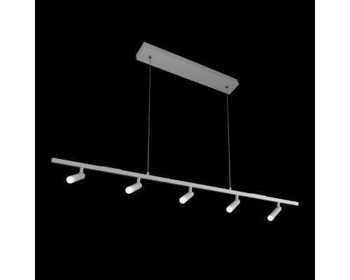 Подвесной светильник Sign 10260/5 White Loft It