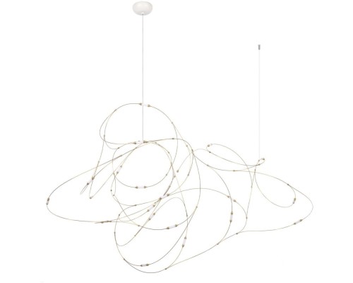 Подвесной светильник Flock of Light 10309/21 Loft It