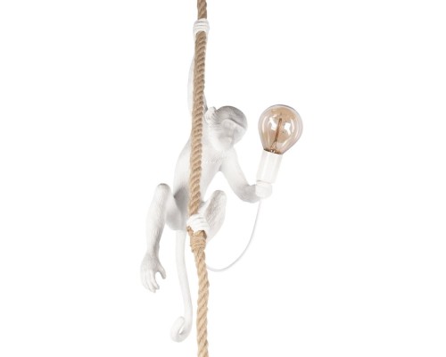 Подвесной светильник Monkey 10314P Loft It