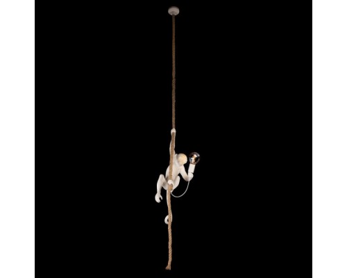 Подвесной светильник Monkey 10314P Loft It