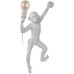 Настенный светильник Monkey 10314W/A Loft It