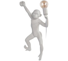 Настенный светильник Monkey 10314W/B Loft It