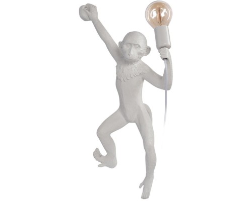 Настенный светильник Monkey 10314W/B Loft It