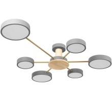 Потолочная люстра Sunrise 10316/6 Grey Loft It