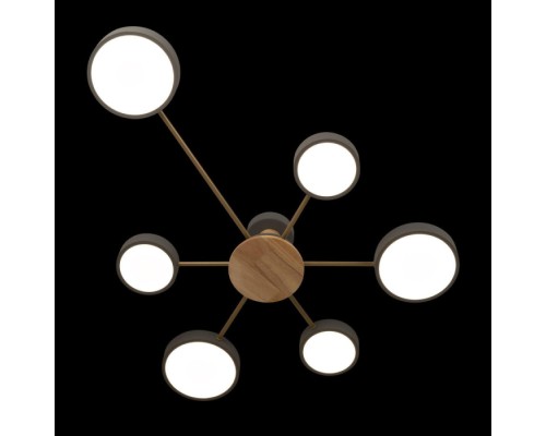 Потолочная люстра Sunrise 10316/6 Grey Loft It