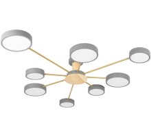 Потолочная люстра Sunrise 10316/8 Grey Loft It