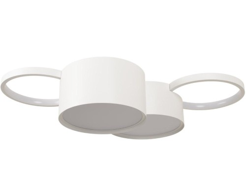 Потолочный светильник Pin 10317/4 White Loft It