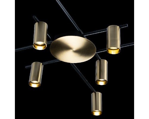 Потолочная люстра Tribes 8120C-10 Loft It