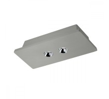 Точечный светильник Architect OL1072-GH/2 Loft It