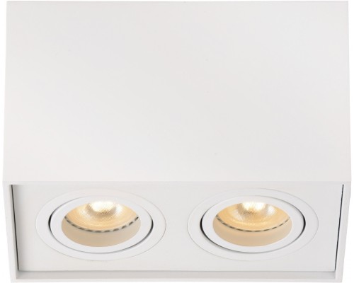 Потолочный светильник Tube 22953/02/31 Lucide