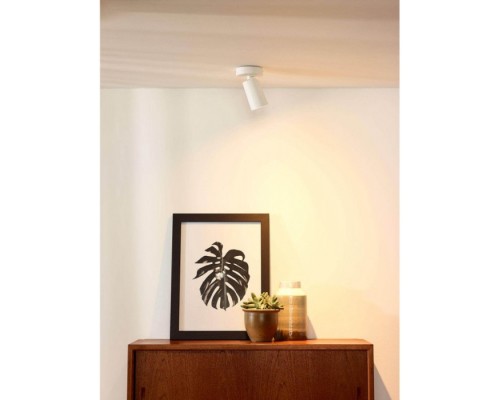 Спот Xyrus  23954/05/31 Lucide