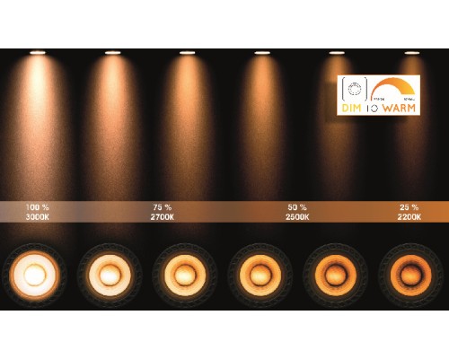 Спот Xyrus 23954/11/30 Lucide