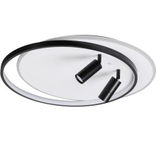 Потолочная люстра Naoko 5603/75CL Lumion