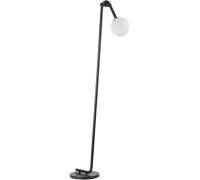 Торшер Dexter 6500/1F Lumion