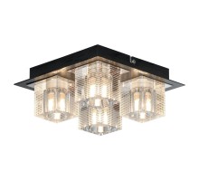 Потолочный светильник Notte Di Luna LSF-1307-04 Lussole