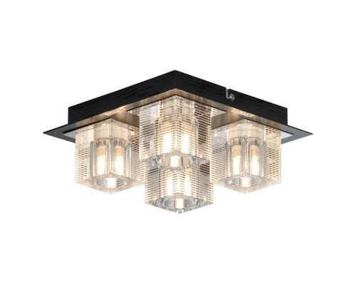 Потолочный светильник Notte Di Luna LSF-1307-04 Lussole