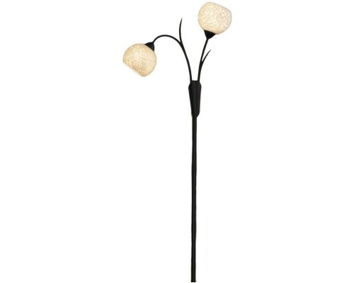 Торшер Bagheria LSF-6295-02 Lussole