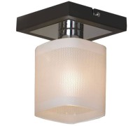 Потолочный светильник Costanzo LSL-9007-01 Lussole
