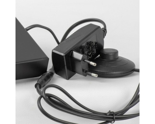 Торшер Prairie LSP-0913 Lussole