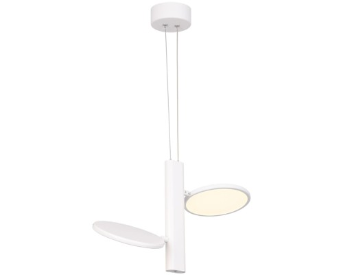 Подвесной светильник Aberdeen LSP-7085 Lussole