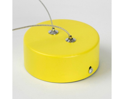 Подвесной светильник Aberdeen LSP-7086 Lussole