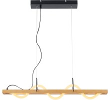 Подвесной светильник Prairie LSP-7197 Lussole