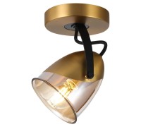 Спот Antelope LSP-8422 Lussole