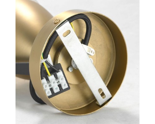 Спот Antelope LSP-8422 Lussole