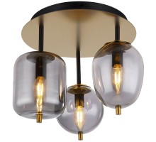 Потолочная люстра  LSP-8730 Lussole