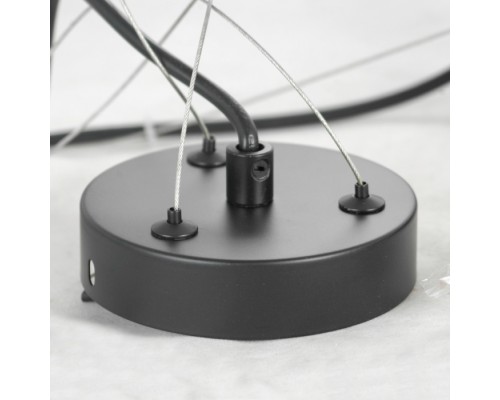 Подвесная люстра Fishers LSP-8797 Lussole