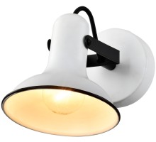 Спот Fargo LSP-8801 Lussole