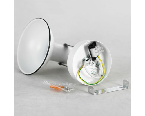 Спот Fargo LSP-8801 Lussole