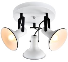 Спот Fargo LSP-8803 Lussole