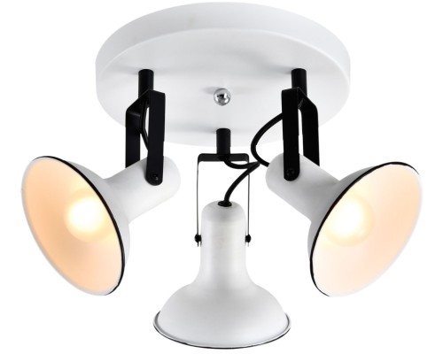 Спот Fargo LSP-8803 Lussole