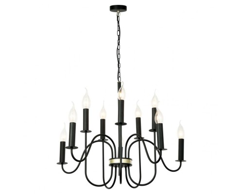 Подвесная люстра Roosevelt GRLSP-8198 Lussole LGO