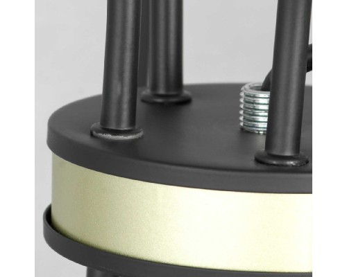 Подвесная люстра Roosevelt GRLSP-8198 Lussole LGO